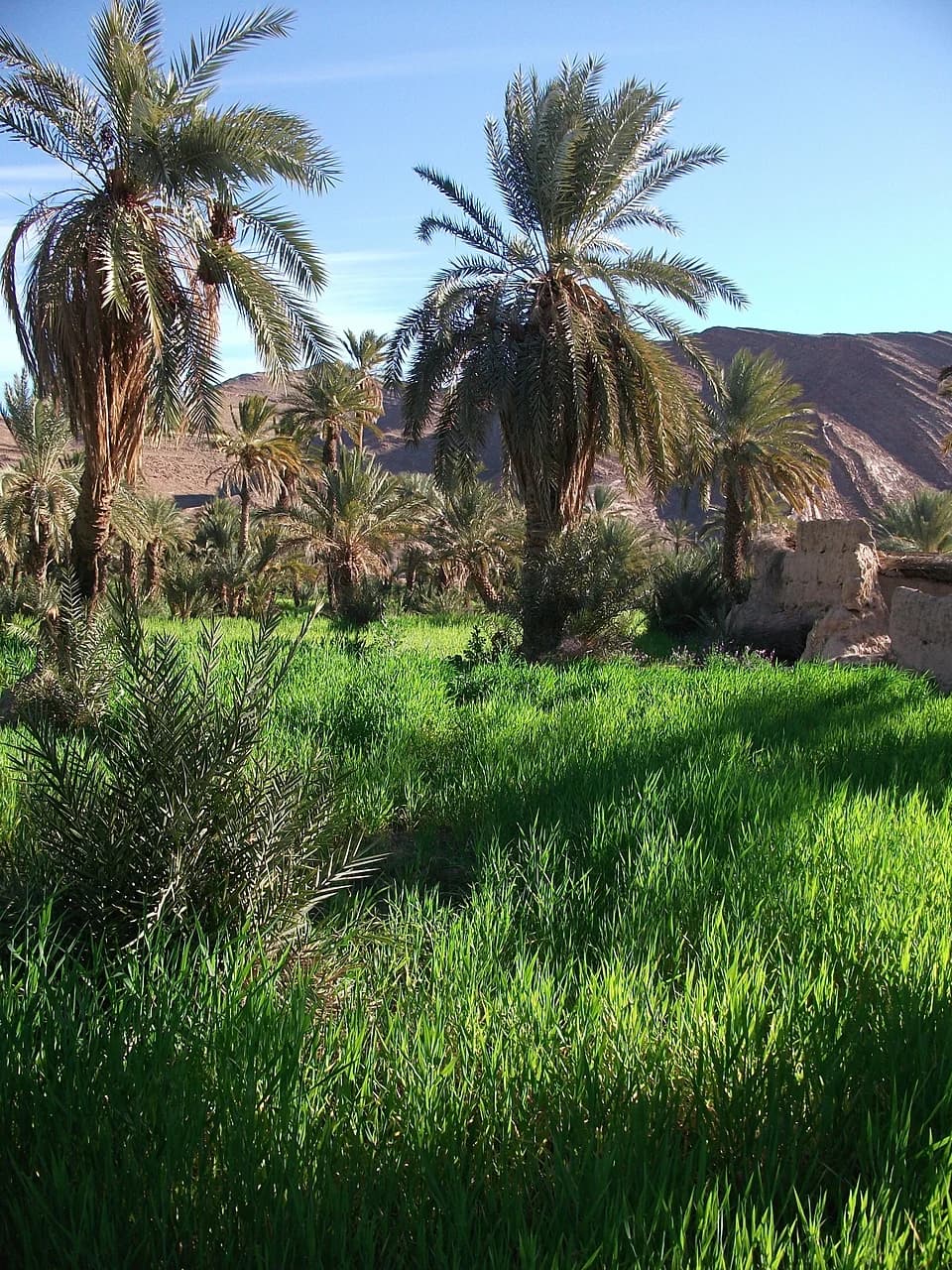Oasis de Tata vue du ciel