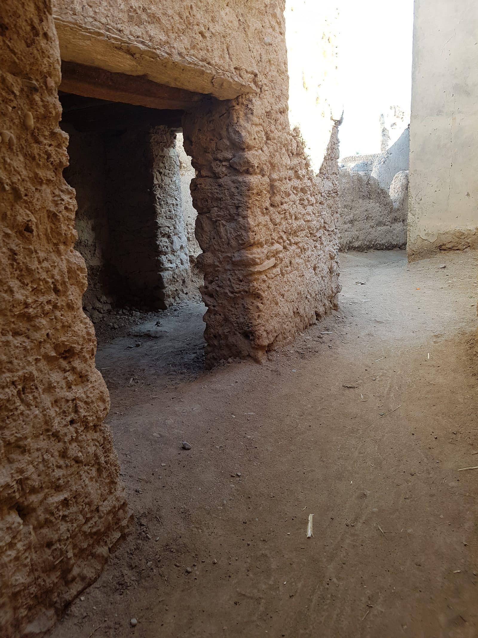 Tighremt — village et palmeraie 13