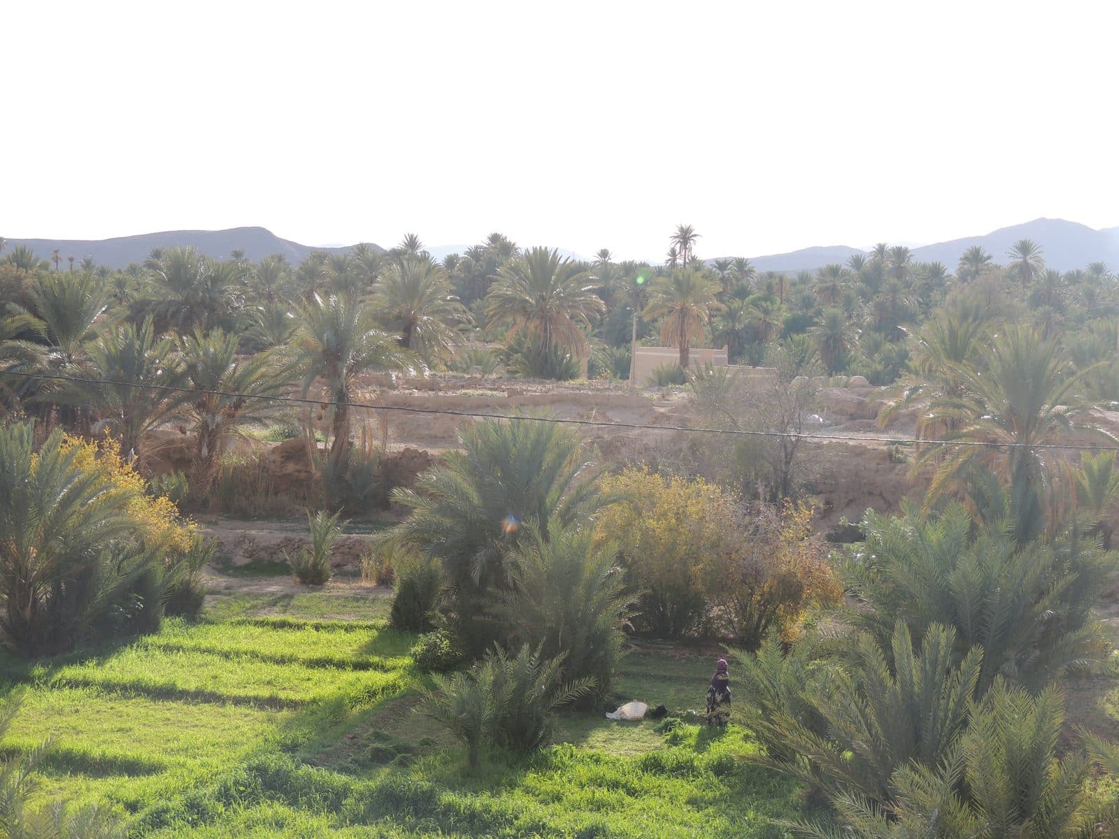Tighremt — village et palmeraie 48