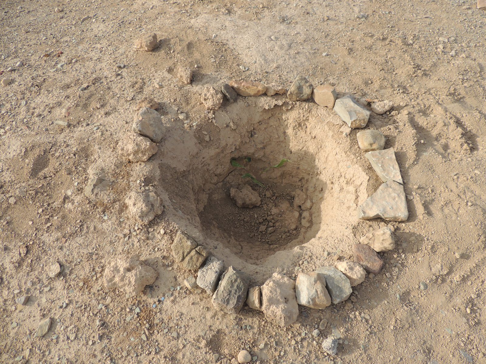 Terrain de Sidi Oua'aziz — travaux d'aménagement 3